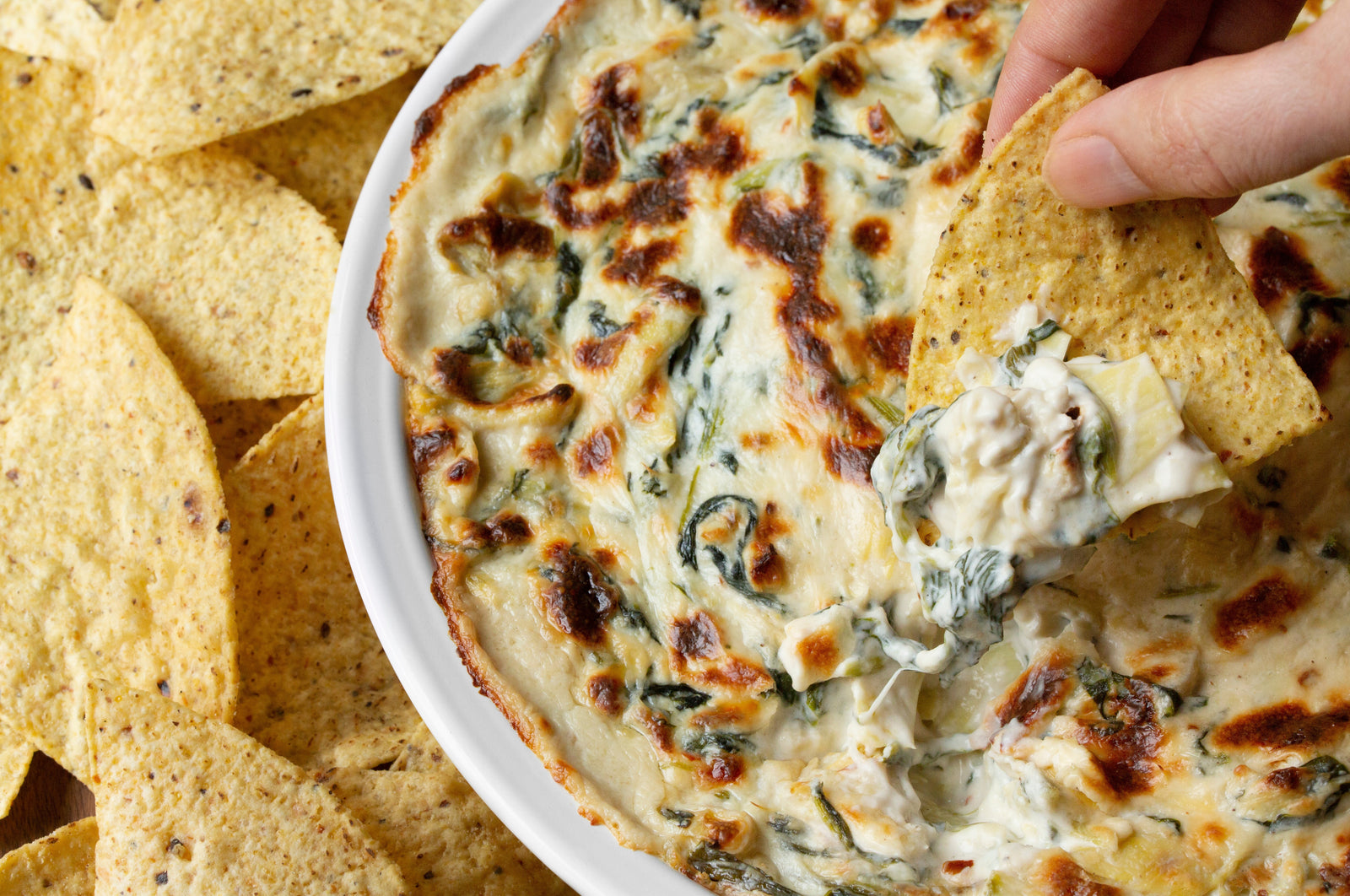 Smoked Salmon Artichoke Dip